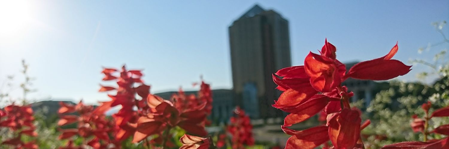206_tut's profile banner image