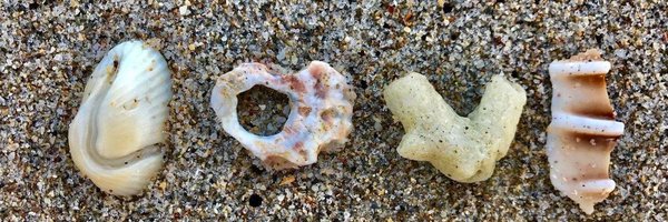 sdmpling Profile Banner