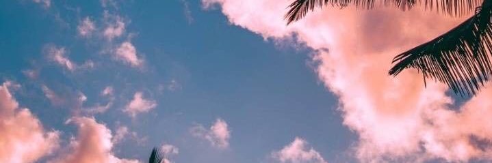 Xcaartt's profile banner image