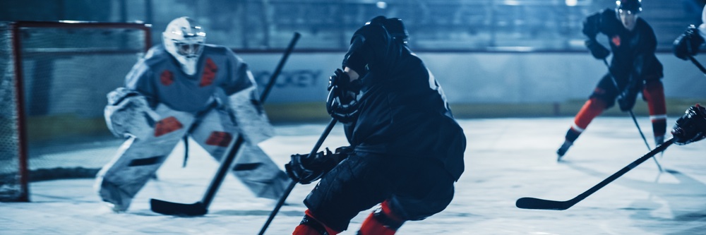 Mississauga Senators banner