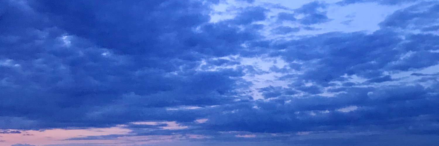 mccconaughey's profile banner image