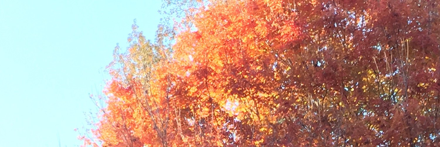 savannahcyree's profile banner image