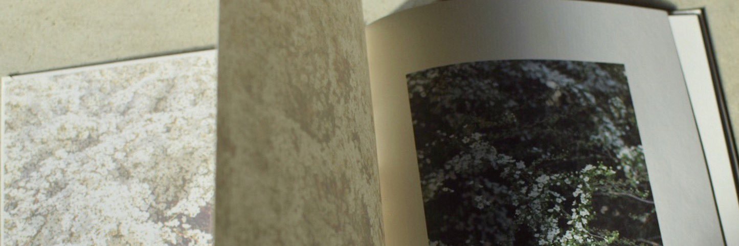 kasuka___'s profile banner image