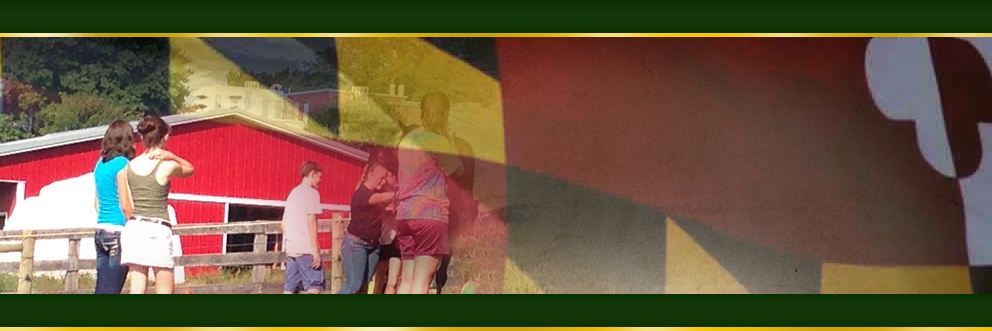 nrasmagnet's profile banner image