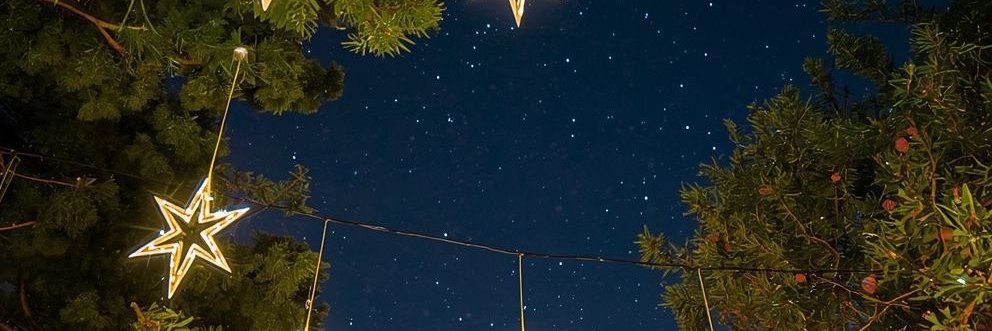 sedago1's profile banner image