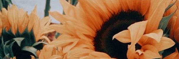 JessicaBoagni's profile banner image
