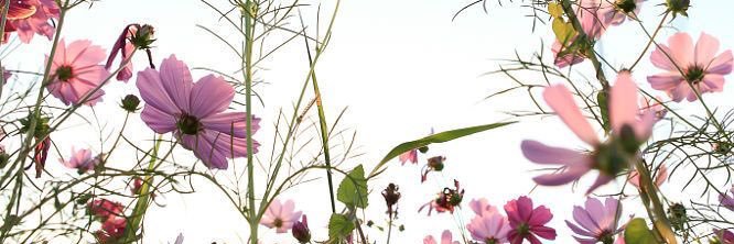 ilyadoublea's profile banner image