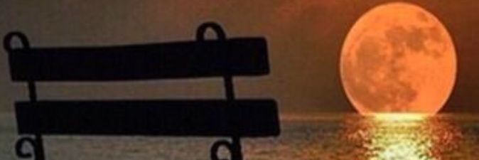 sandrisim's profile banner image