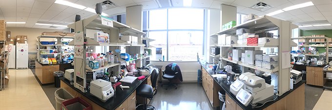 Ryan Langlois banner