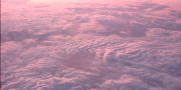 polzunkov's profile banner image