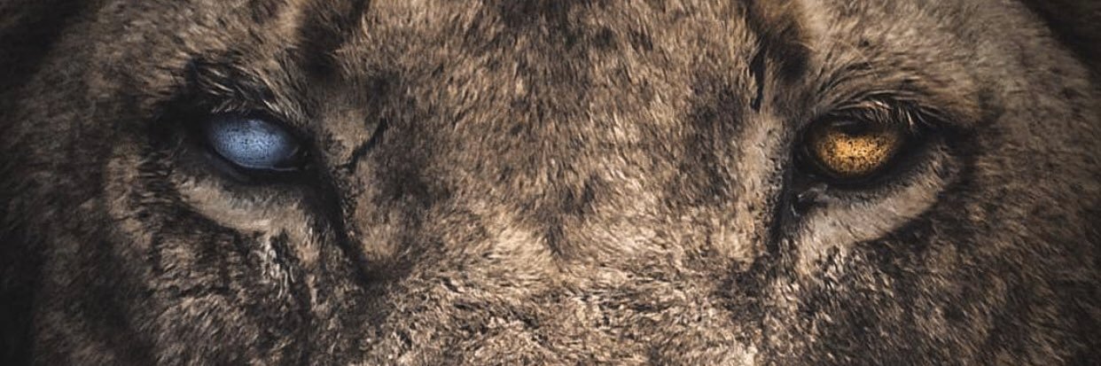 EbubekirAltuncu's profile banner image