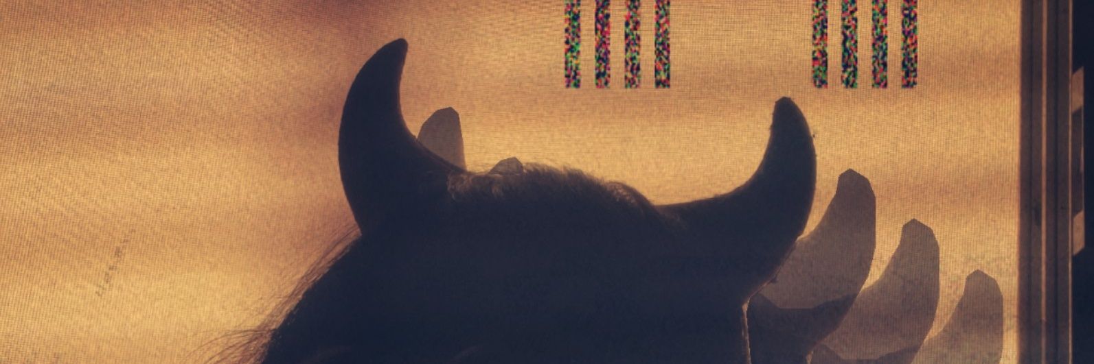 Linda_Zeek's profile banner image