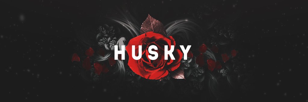 Husky10_'s profile banner image