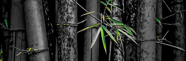 fherlm33's profile banner image