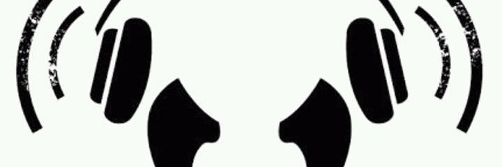 LeisurePanda's profile banner image