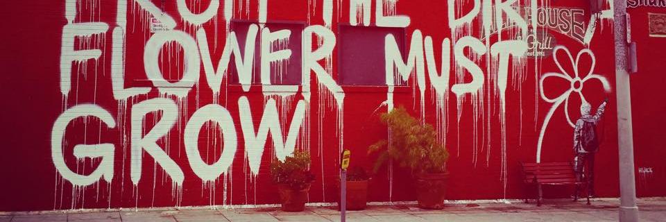 nice_haven's profile banner image