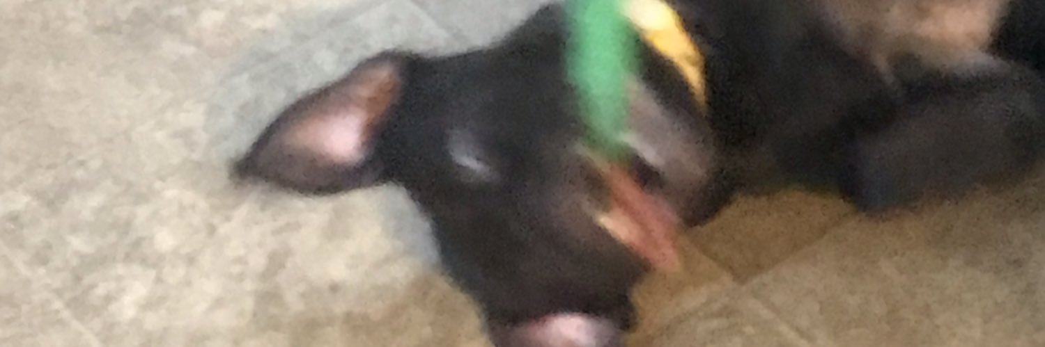 _Vhole's profile banner image