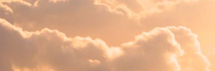 kimdaph's profile banner image