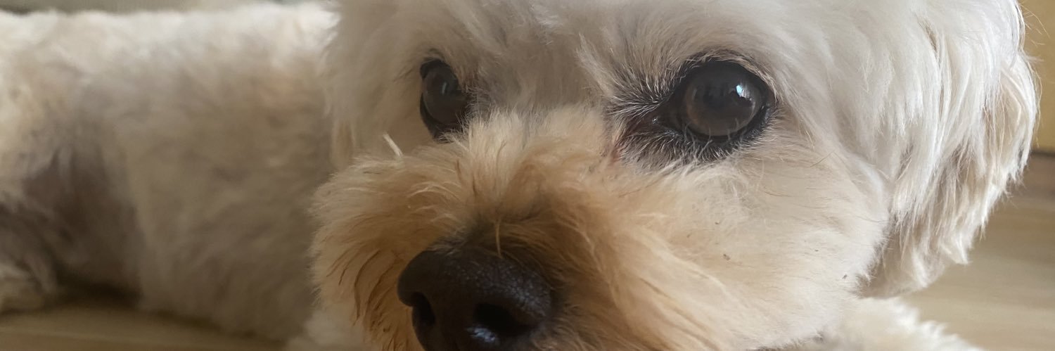 hayuru428's profile banner image