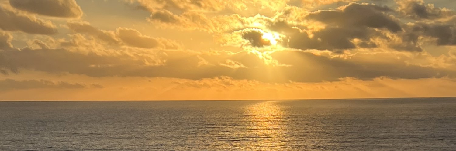 Batman Protects My WiFi banner