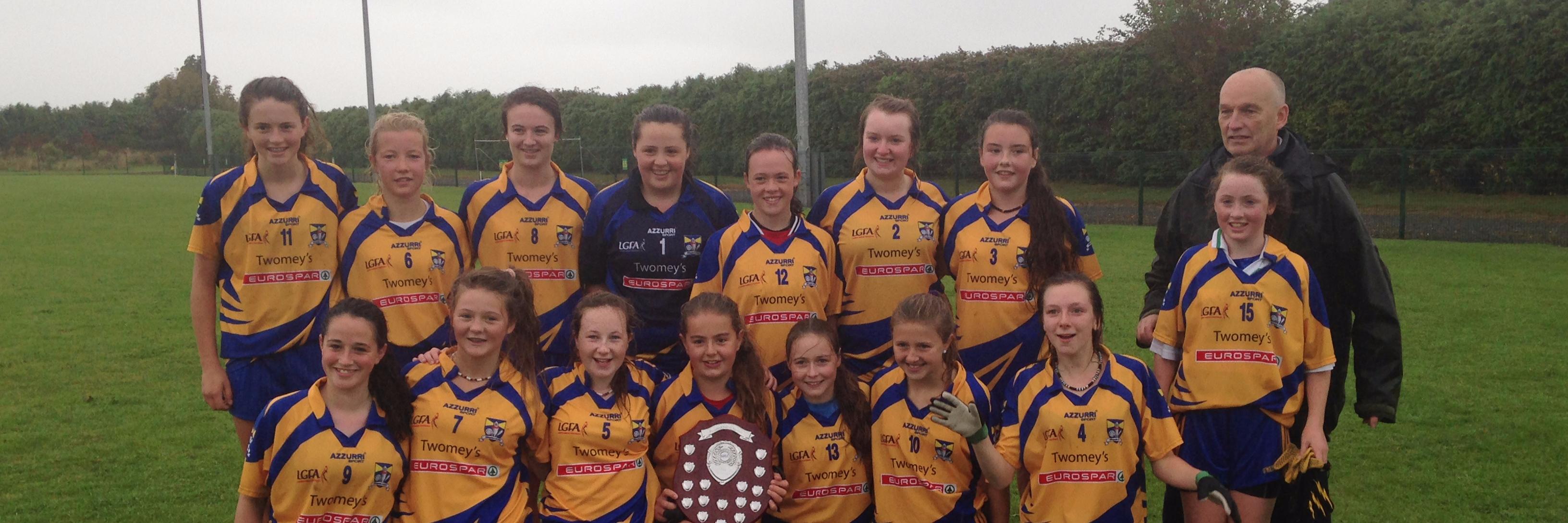 Abbeyside Ladies GAA banner