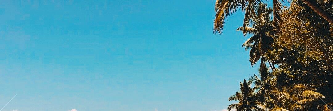 dndbrlyn's profile banner image