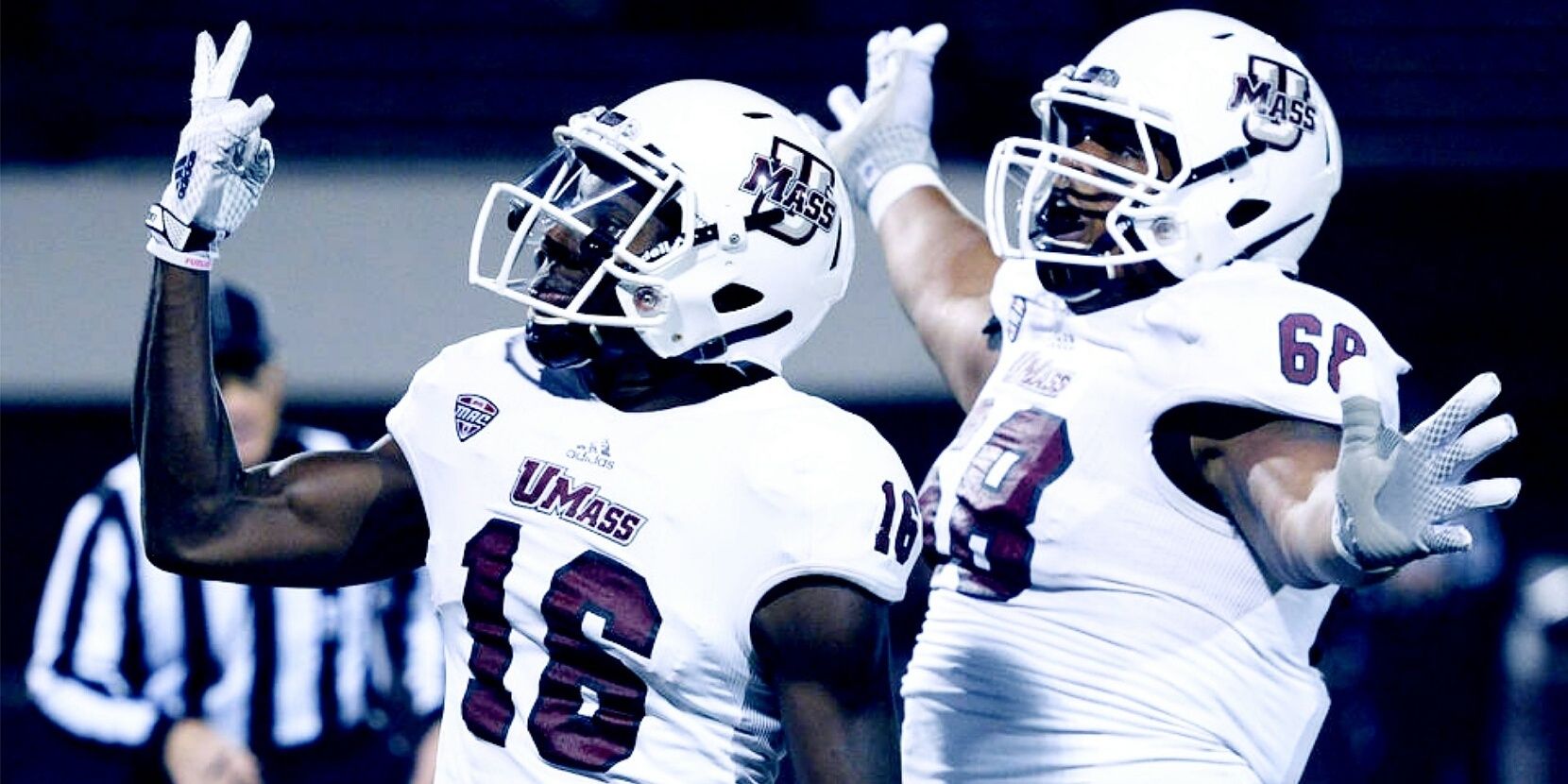 sir ellington. banner