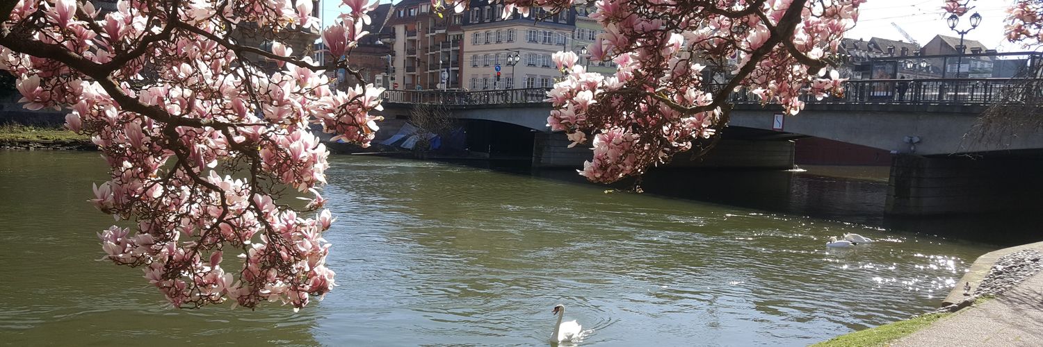 lemaare's profile banner image