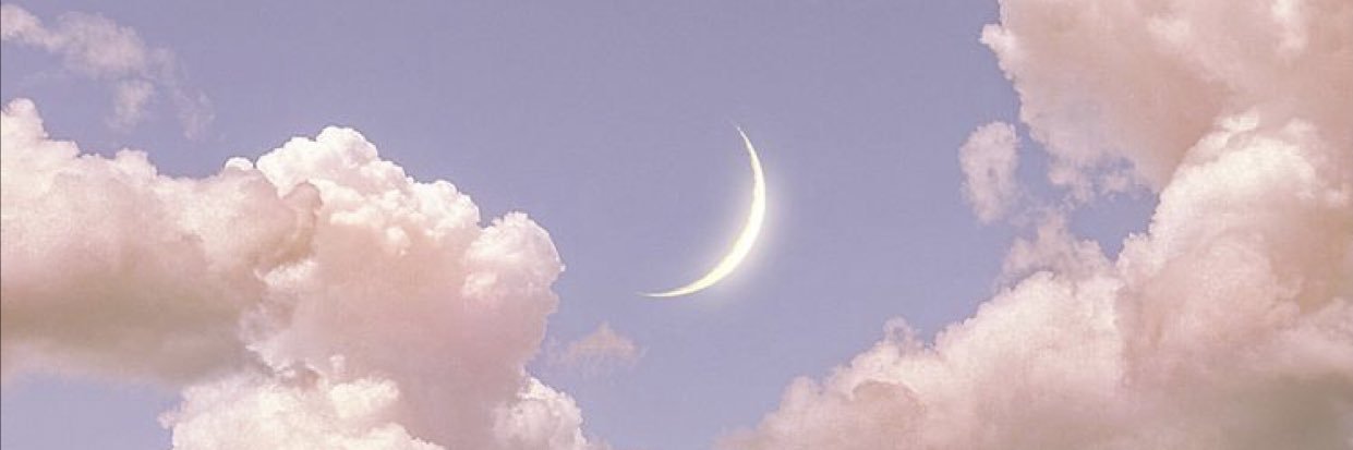 briannahampton_'s profile banner image