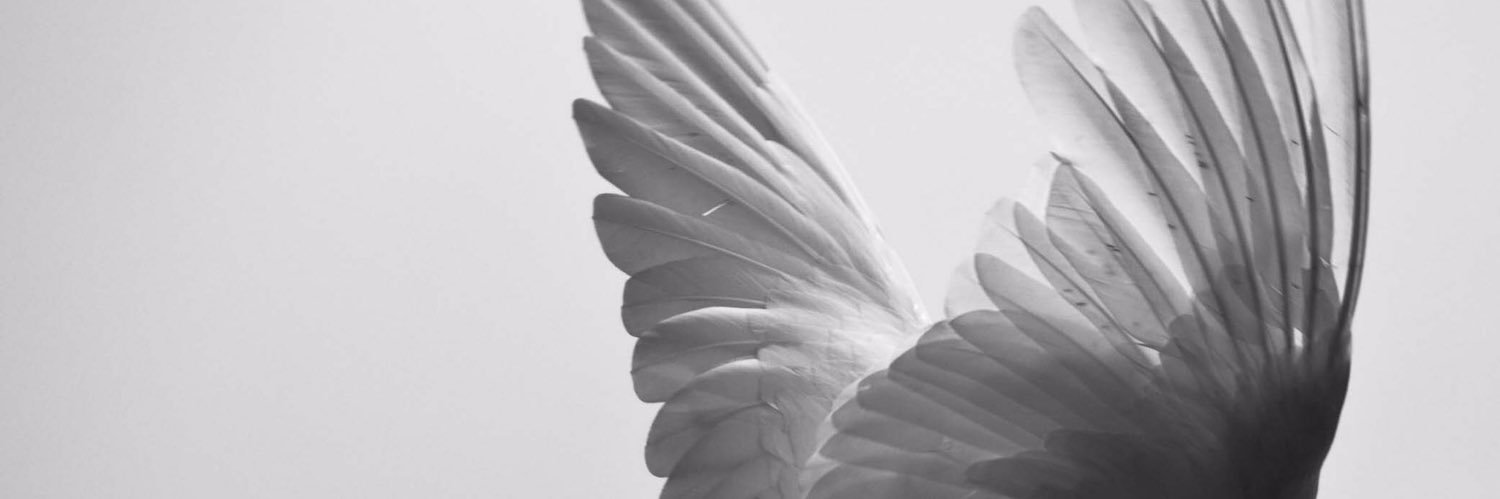 mr_qut's profile banner image
