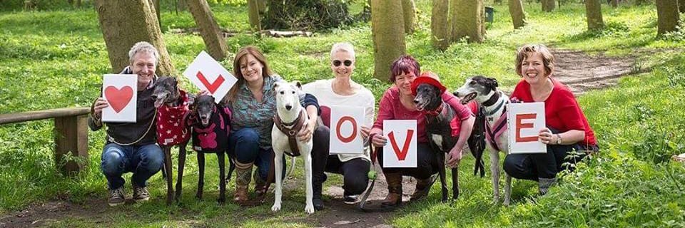 York Greyhound Walk banner