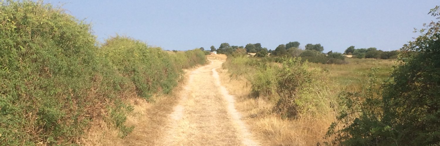 TinaBernstroem's profile banner image