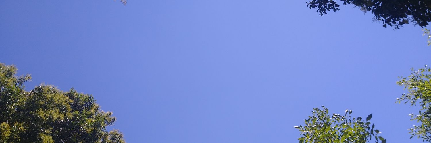GalindoFacundo's profile banner image