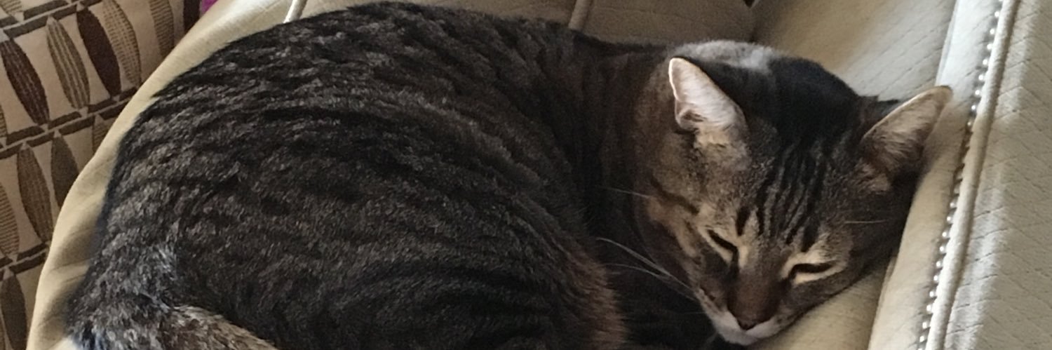 Elizabeth Conrad banner