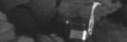 ScienceRanger56's profile banner image