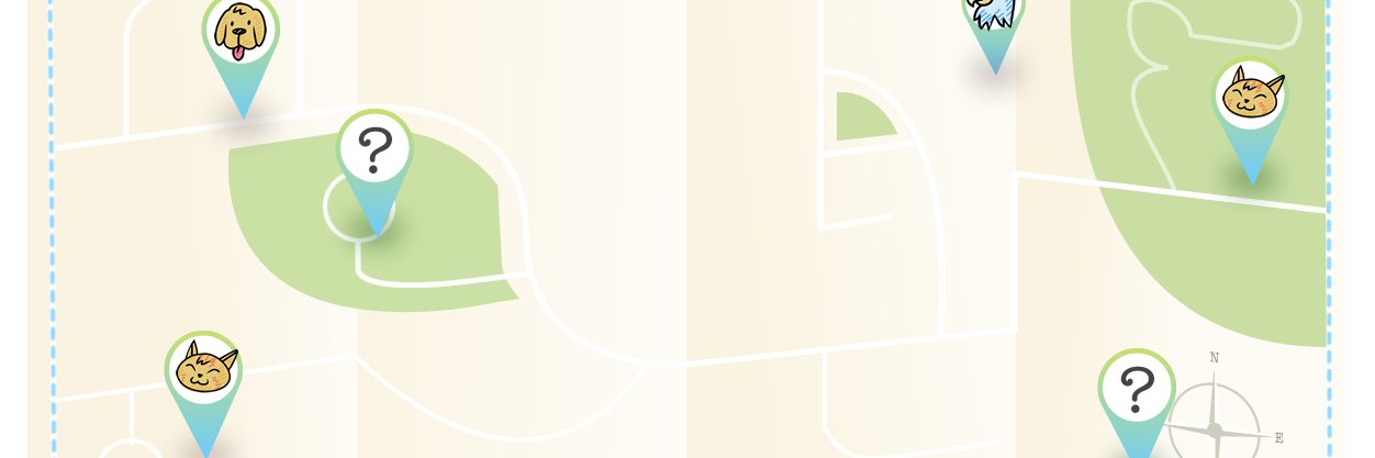 Lost & Found Pets IE banner