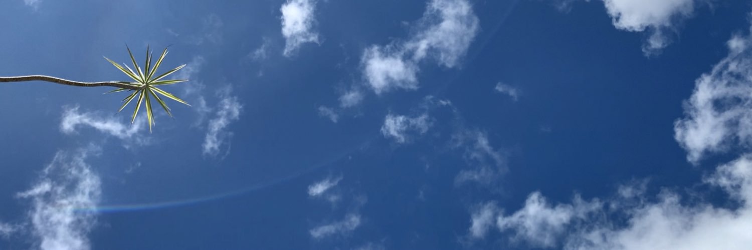 {omitted} banner