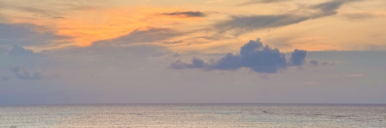 tylxsango's profile banner image