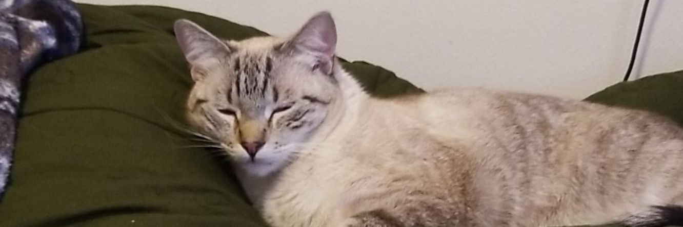 jbrewy's profile banner image