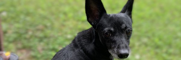 tag803 Profile Banner