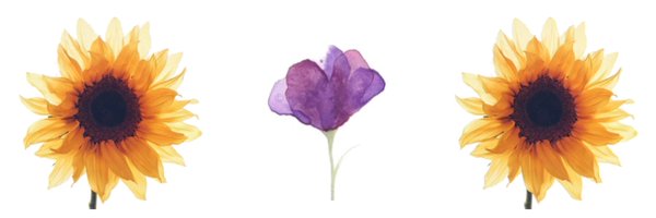 missscathe Profile Banner