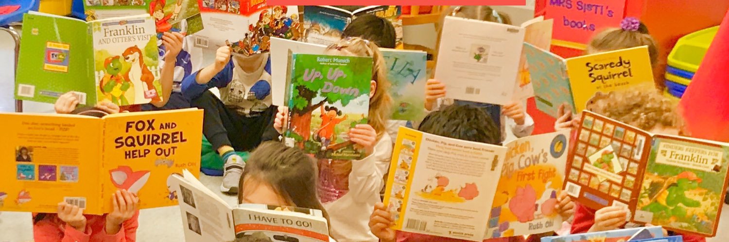 LibrarySisti's profile banner image
