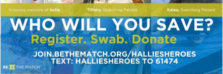 Hallie's Heroes banner