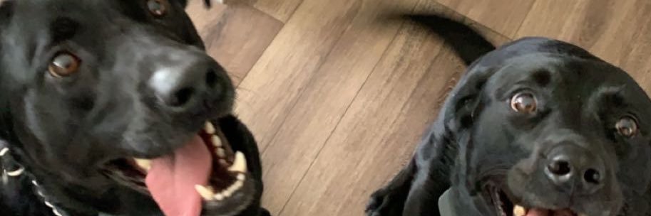 00Tayler's profile banner image