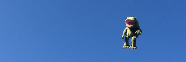the_frogboy's profile banner image