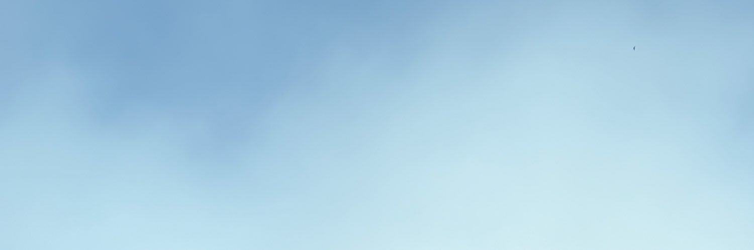 MEduardaNG's profile banner image