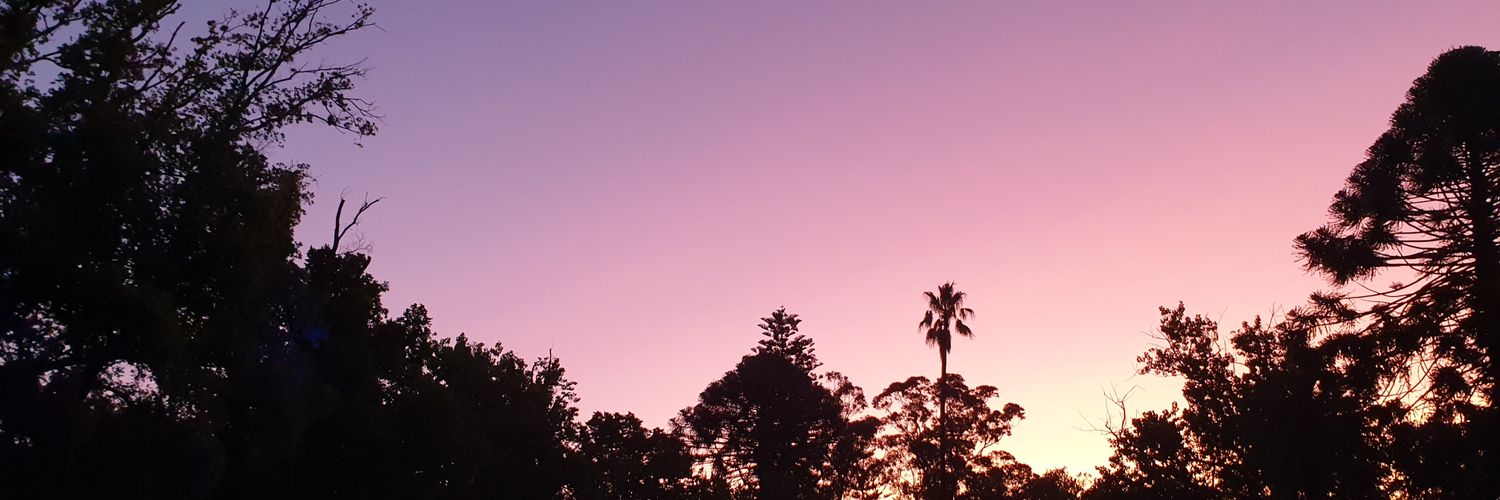 Beck_Hodgetts's profile banner image