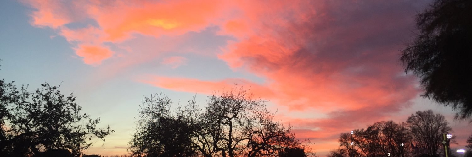 catttspach's profile banner image