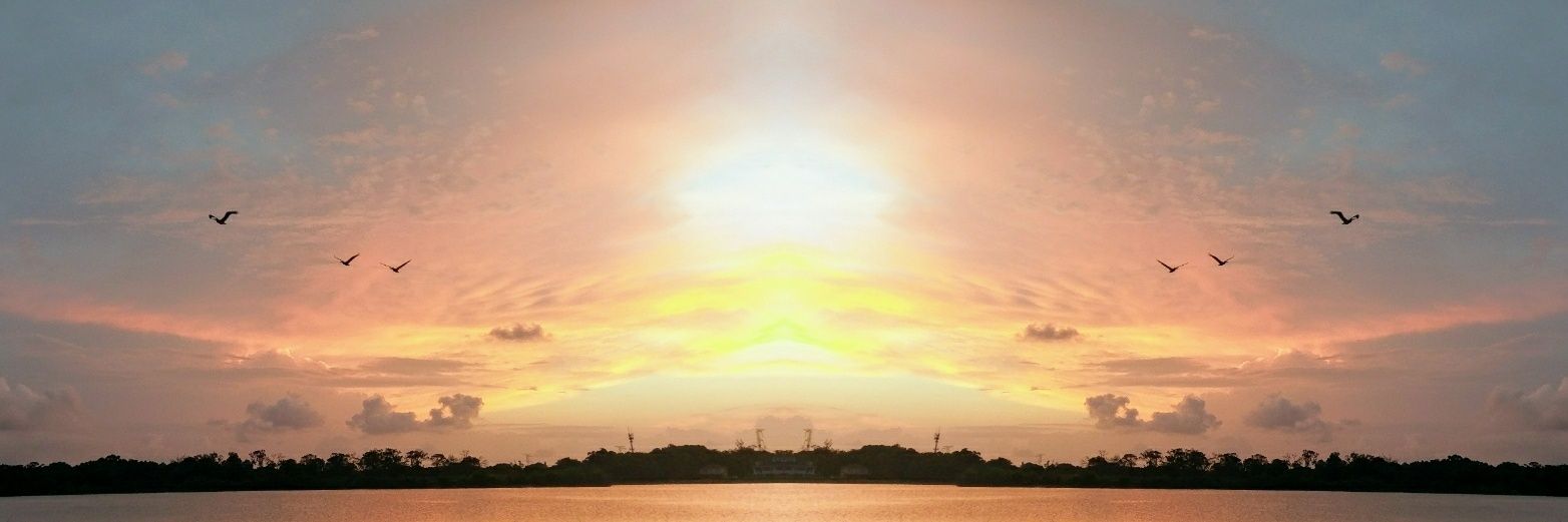 phunkysunshine's profile banner image