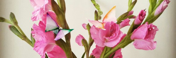 SciJem Profile Banner